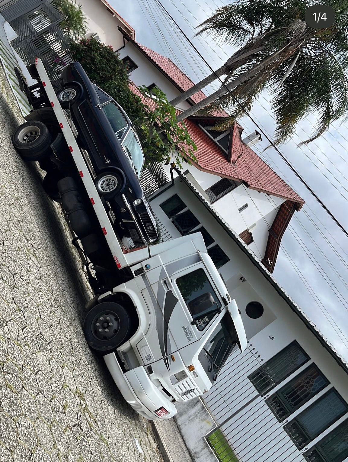 Guincho Florianópolis 3